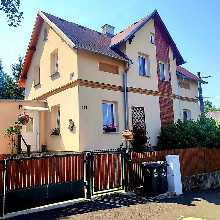 Arnoltice u Decina Ubytovani U Rybnickaヴィラ エクステリア 写真